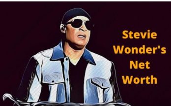 Stevie Wonder Net Worth