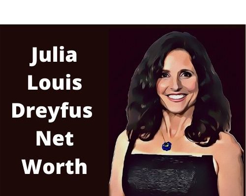 Julia Louis Dreyfus Net Worth