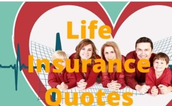 Best Life Insurance Quotes